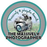 005. Massively Photographer Award